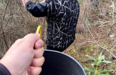 Casa do Outro Mundo - Foto 66