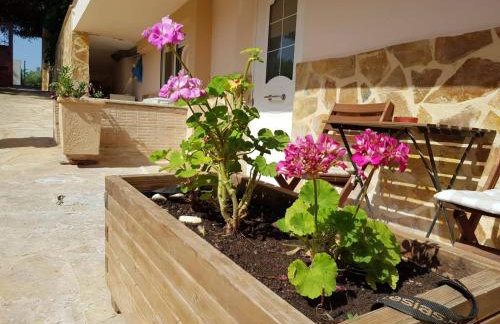 Apartments Tina FREE transfer from-to the airport - Foto 33