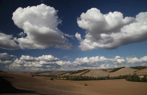 Tenuta d'Arbia, Siena - Foto 45