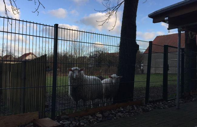 Ferienwohnung Romance - Foto 25