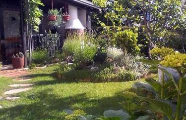 Sobe Randelj - Foto 3