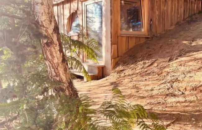 Boutique Glamping Divja DiVine - Foto 26