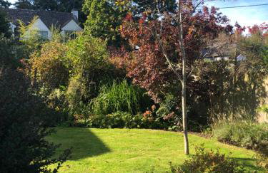 Ramblers, Burley, New Forest - Photo 9