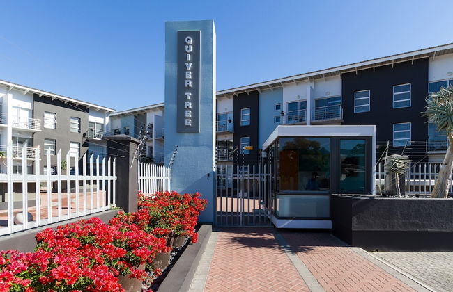 WINK Quiver Tree - Foto 54