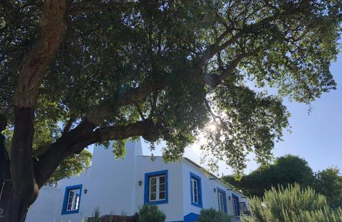 Fontes - A essência do Alentejo com lago privado - Foto 29