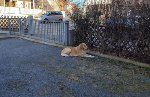 Kalinka 90766 Fürth - Foto 3