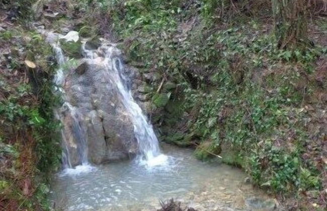 Castello di Mammoli - Foto 30