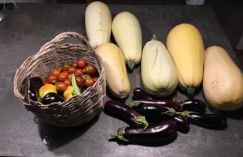 La Escribana - Photo 46