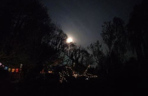 Tan y coed's Rosemary Cabin - Photo 25