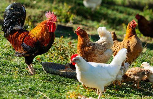 Vitabella Toscana - Foto 48