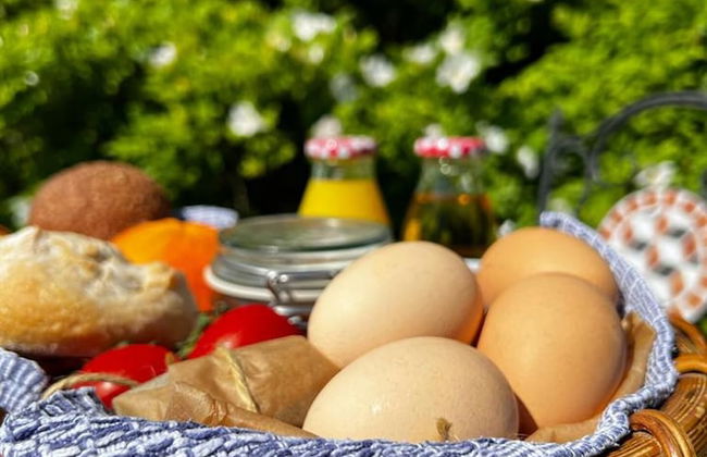 1 Bed Glamping Hut - Firepit, Fireplace, Views - Photo 9