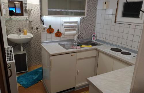 Kleines Gartenhaus am Mahler - Foto 10