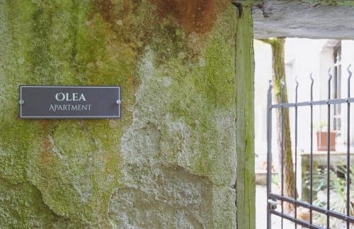 Residenza Nemus Olea Mare e Montagna - Foto 50