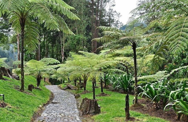 Avalon Hotel Campestre en Jardin - Photo 43