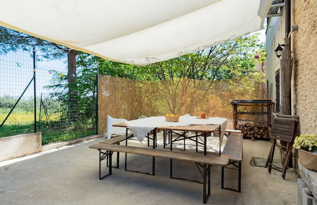 Il Fico nel Pozzo in Fossacesia - Foto 3