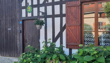 LES HIRONDELLES - Les gîtes du Der - - Foto 2