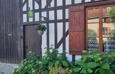 LES HIRONDELLES - Les gîtes du Der - - Foto 2