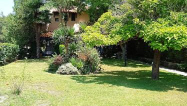Make yourself at home in Halkidiki's paradise - Foto 1, Garden view