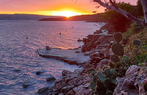 Apartman Grospic - Foto 36