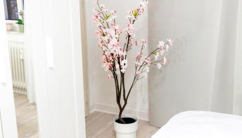 MOLA Apartments-Historische Ferienwohnung im Bachviertel Herdecke Zentrum für 3 Personen-Gratis Parkplatz-Highspeed WLAN-auch für Langzeit geeignet - Photo 4