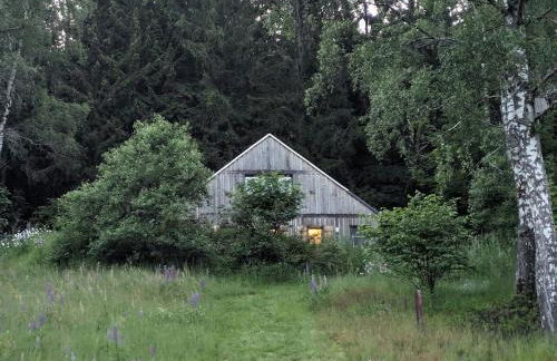 Haus am Waldrand - Foto 15