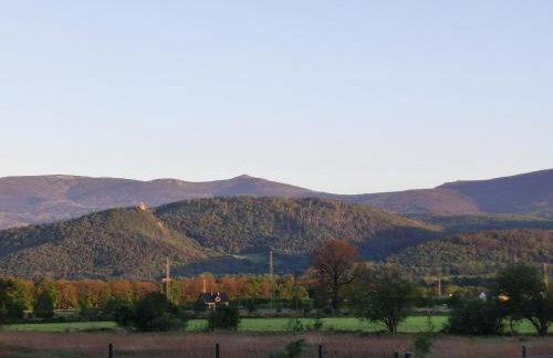 Domki Karkonosze Pod Dębem - Foto 23