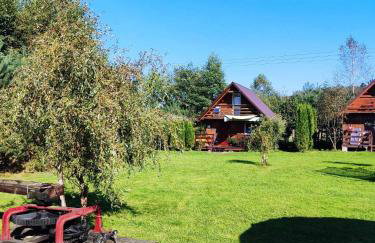 Domki w Bieszczadach - Foto 18