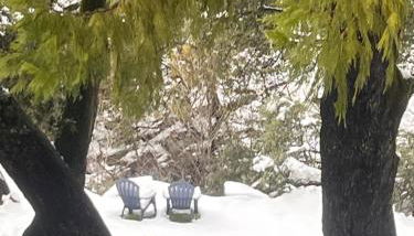 Ponderosa Creekside Retreat - Foto 5