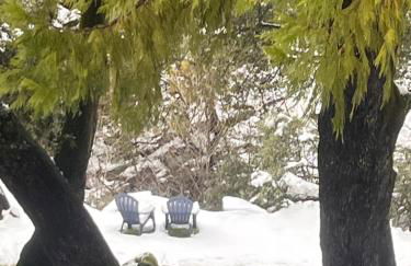 Ponderosa Creekside Retreat - Foto 5