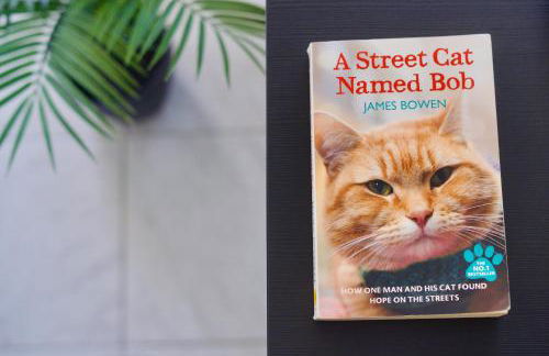 Apartamento El Gato - Foto 22