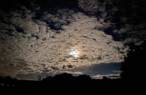 Lucy Fan Ohana - Photo 39