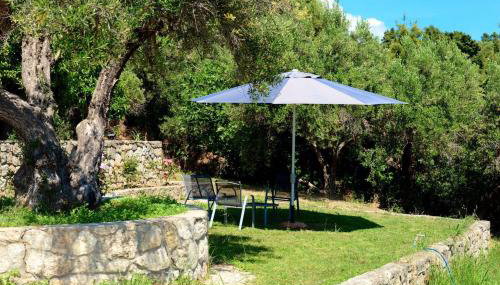 Olive stone Villa - Foto 3, Garden