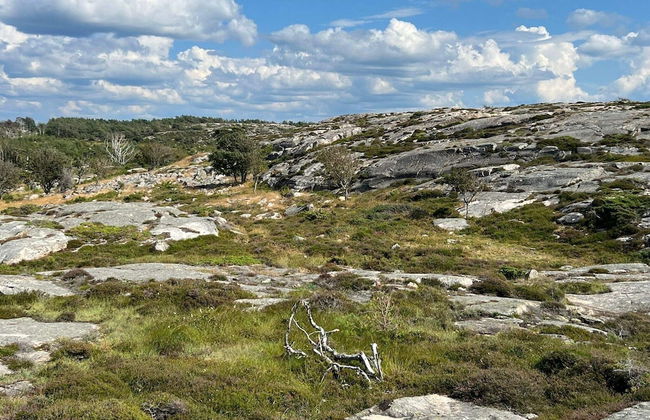 4 Star Holiday Home in Grebbestad-by Traum - Foto 17