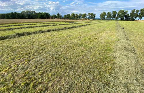 Ferienhaus am Schlossberg in Ranis - Foto 45