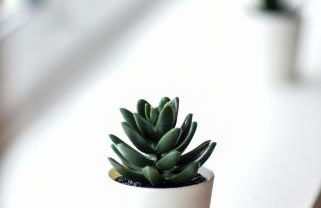 1 Bedroom Apartment Leamington Spa Hosted By Golden Key - Photo 11