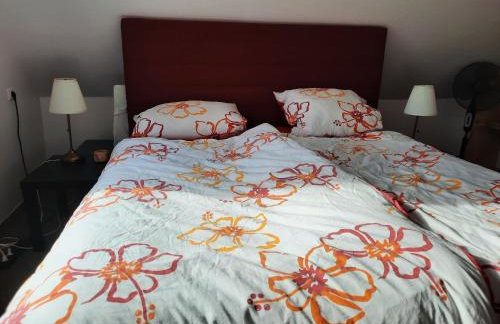 Yachthof Ferienwohnung, 60 m² - Photo 9