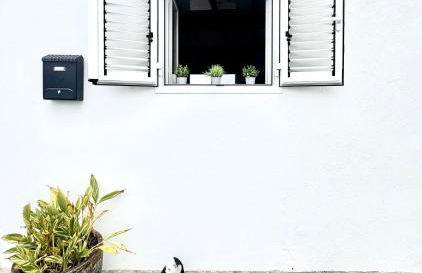 Casa Caladero - Photo 56