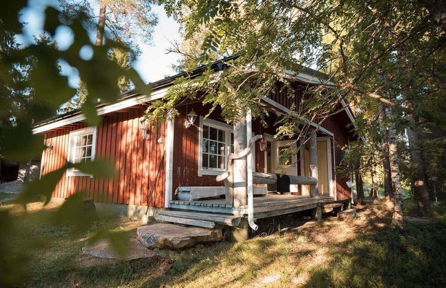 Finnish Sauna, Ice Swimming + Dinner - Photo 3