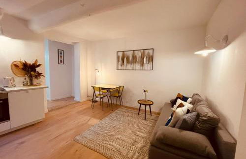 Appart Hotel Jaures - Boutique apartments - Foto 7