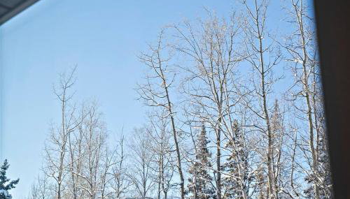 Cozy Eagle River Retreat - Foto 4