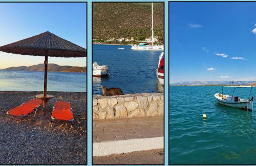 Sunrise Korfos - Foto 15