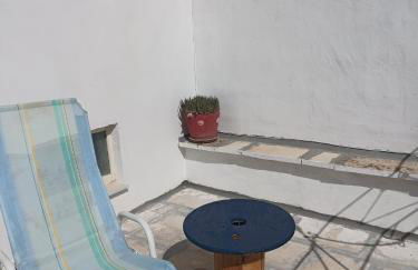 Fichi d india - Foto 29