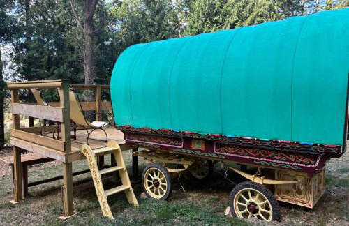 2 Guests - Pet Friendly - Traditional Gypsy Vardo - Foto 26