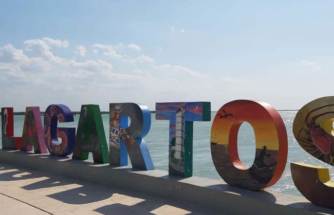 Day Trip to Las Coloradas & Río Lagartos - Foto 3