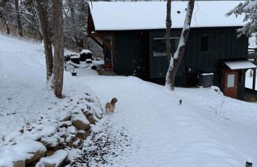 Winding Creek Cabin - Photo 43