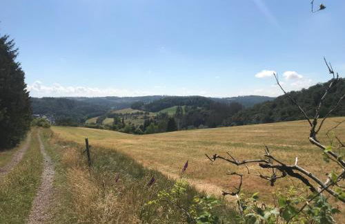 Schwedenhaus Waldkauz - Foto 42