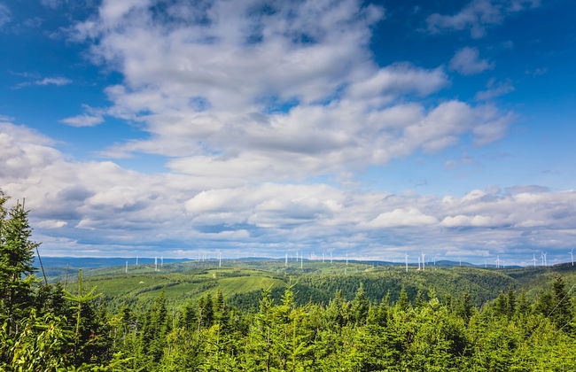 Bleu Mer - hôtel & résidences - Photo 37