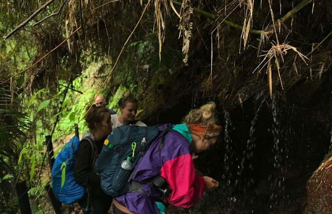 La Chorrera Waterfall Hike - Foto 5