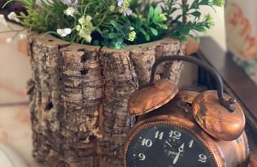 Quinta Castanheiro da Penha - Alegrete - Portalegre - Alentejo - Foto 17