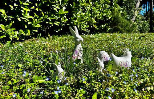 Villa Greif Pineta - Foto 67